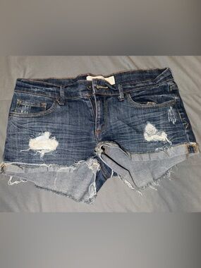 Charlotte Russe Distressed Dark Blue Denim Shorts